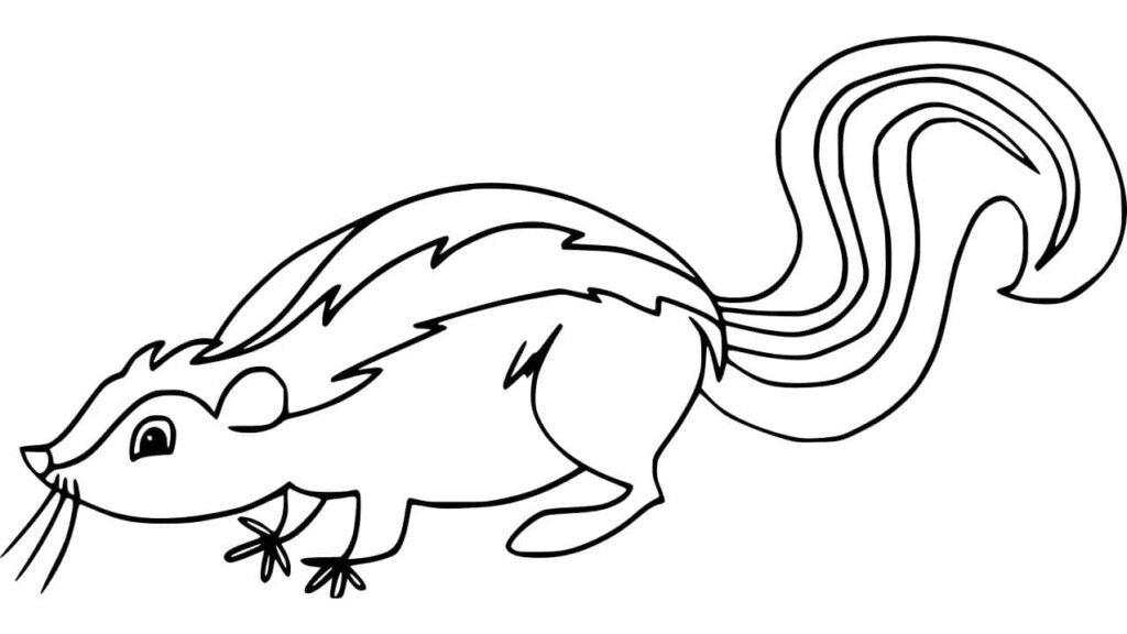 Desenho de Gambá Realista para Colorir