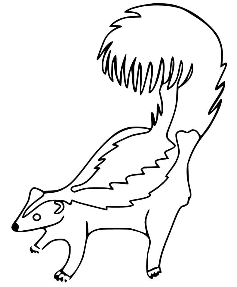 Desenho de Gambá Simples para Colorir Pdf