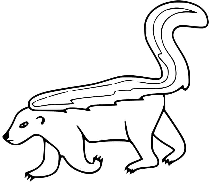 Desenho Gambá Andando para Colorir