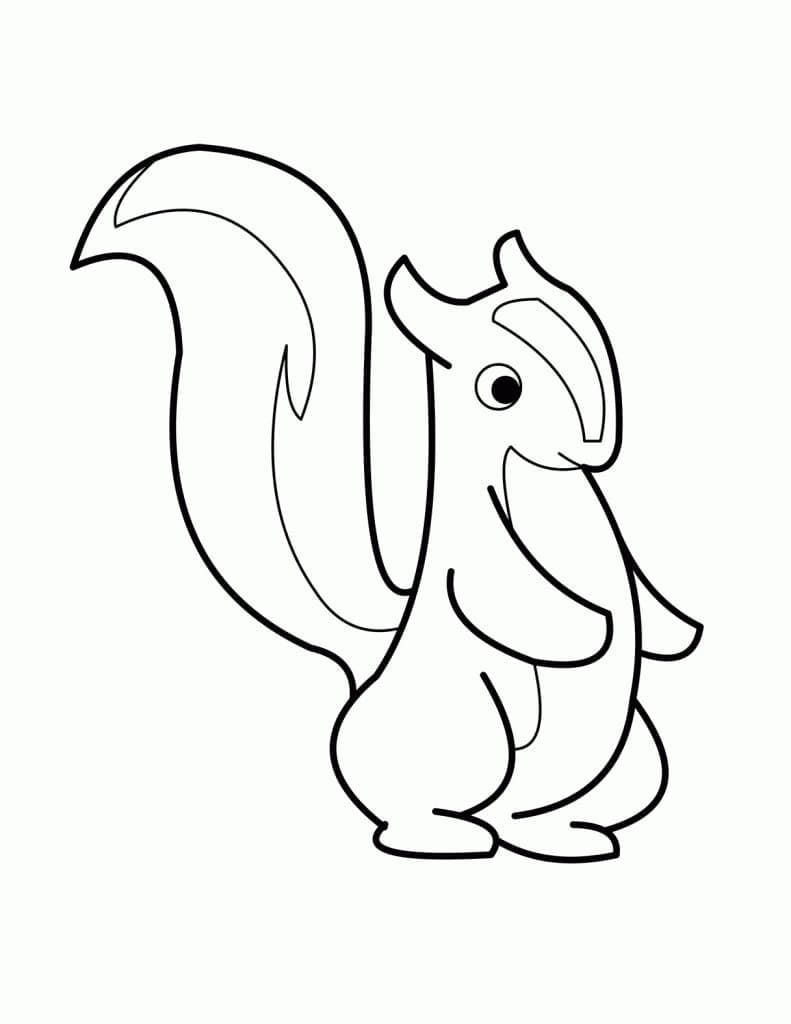Desenho Gambá Bonito para Colorir