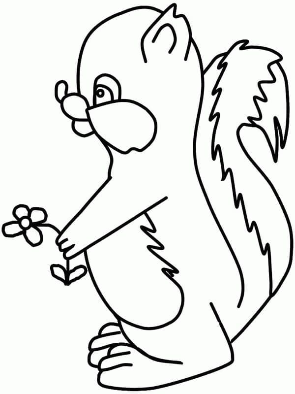 Desenho Gambá com Flor para Colorir
