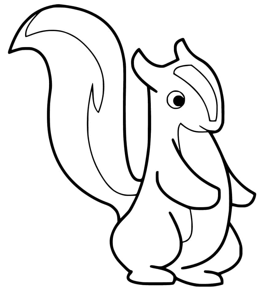 Desenho Gambá Curioso para Colorir