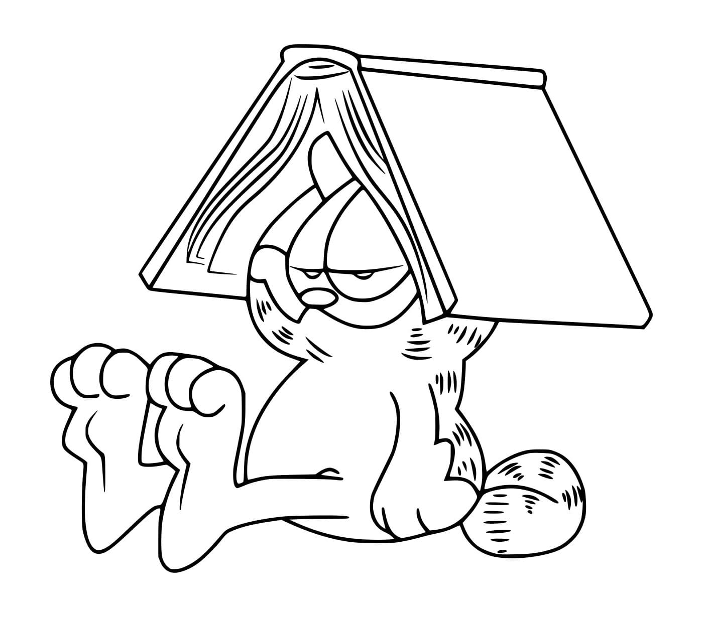 Desenho de Garfield e um Livro para Colorir