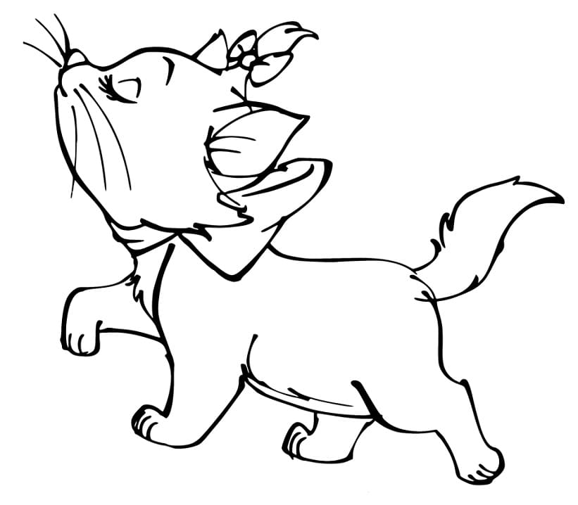 Desenho de Gatinha Marie Andando para Colorir