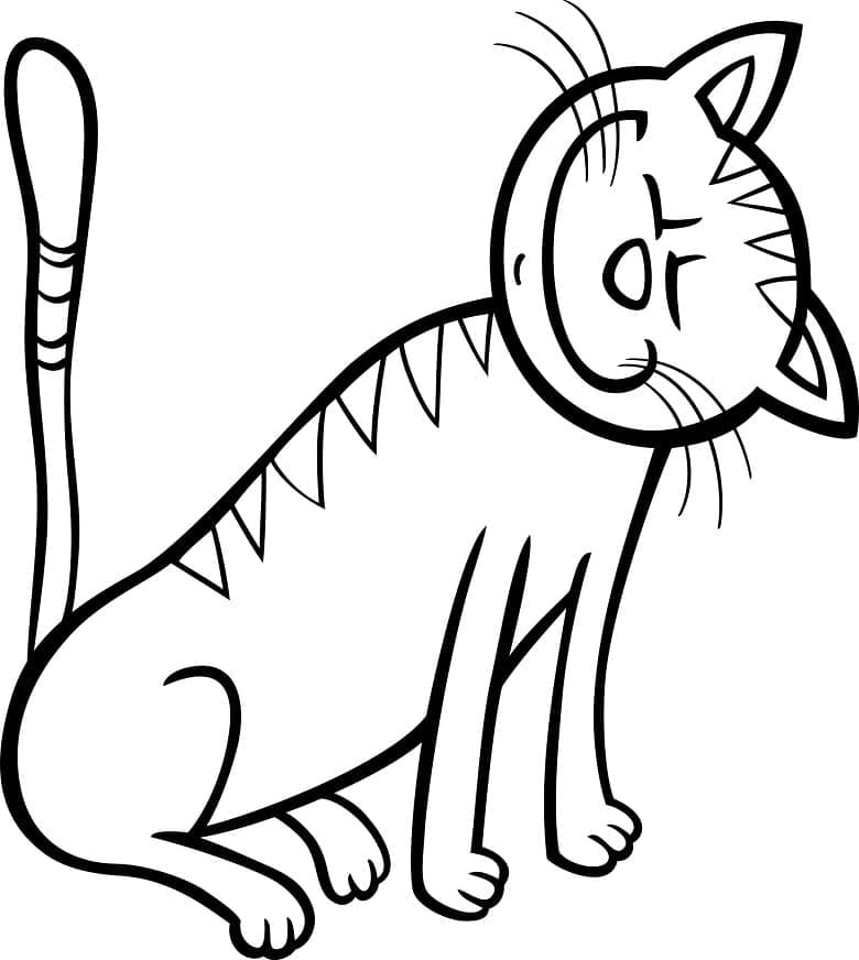Baixar Desenho de Gato Engraçado para Colorir