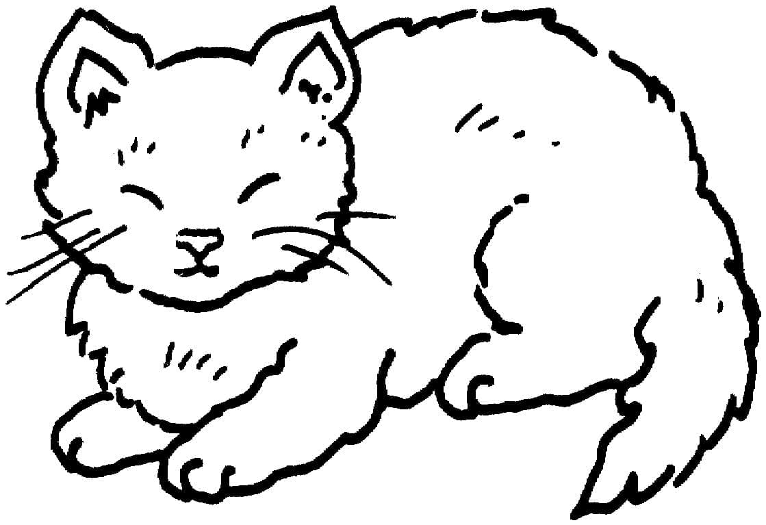 Baixar Desenho de Gato Fofinho para Colorir