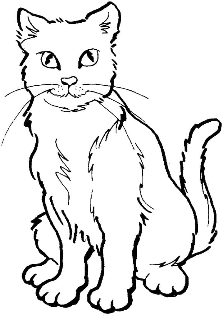 Desenho de Gato Simples para Colorir com Canetinha