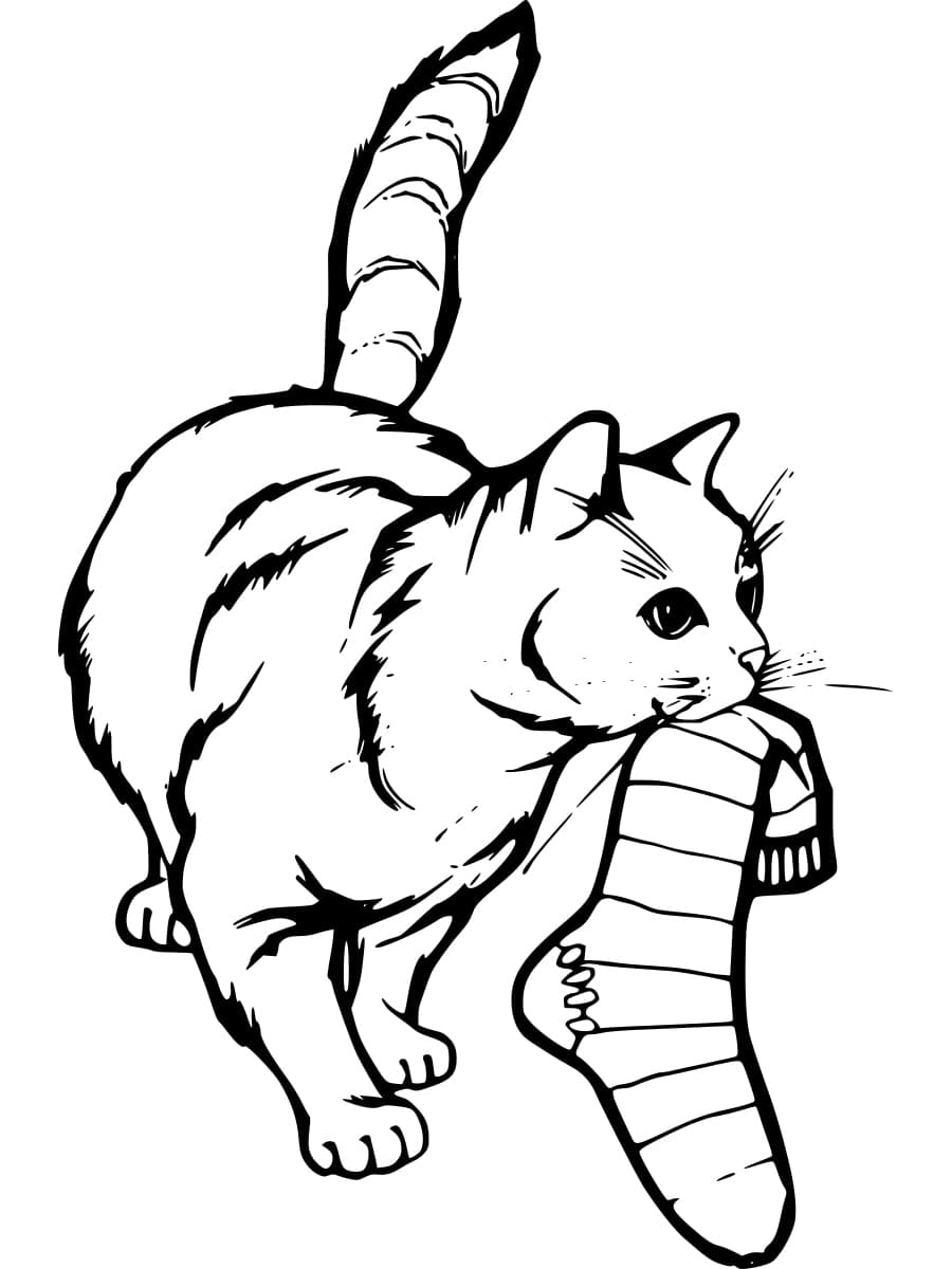 Desenho de Gato com Meia para Colorir