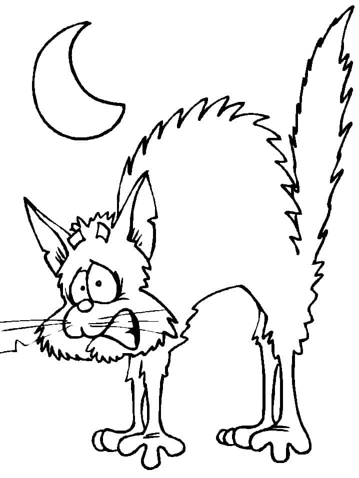 Desenho de Gato Levando Susto para Colorir