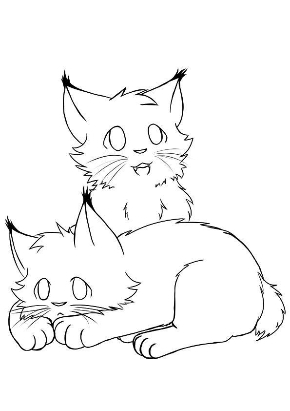 Desenho de Gato Lynx para Colorir