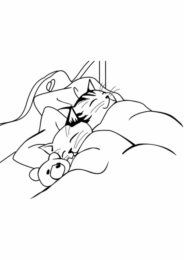 Desenho de Gatos Dormindo para Colorir