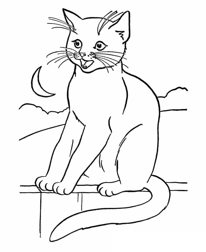 Desenho de Lindo Gato em Cima de um Muro a Noite para Colorir