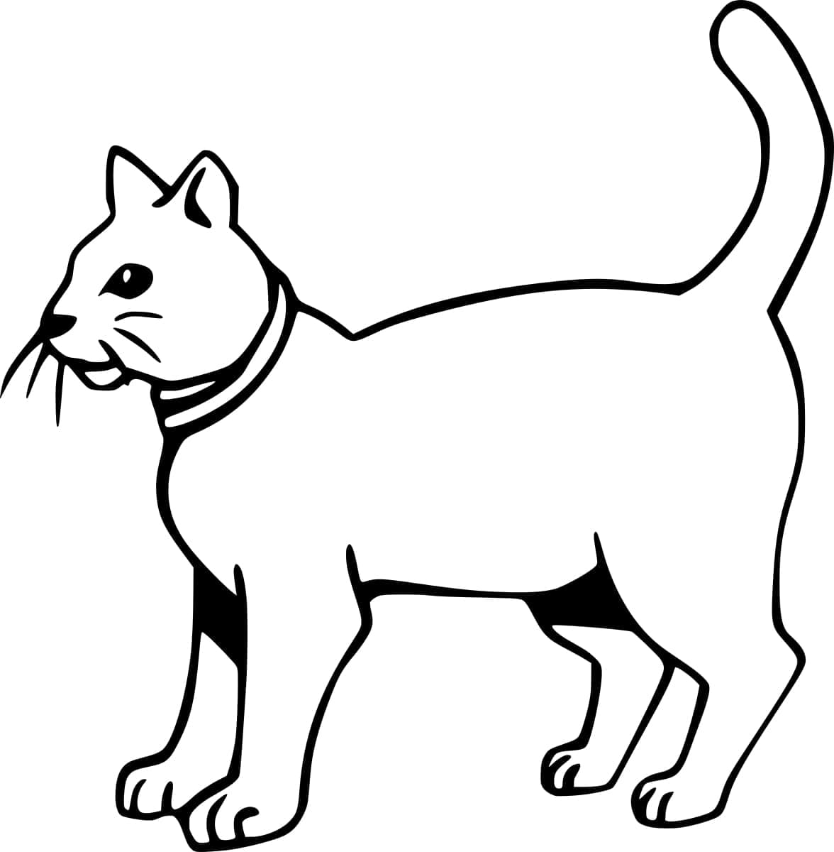Desenho de um Gato Normal para Colorir