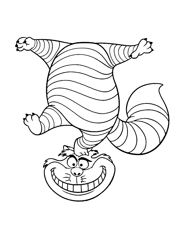 Desenhos de Gatos para Colorir