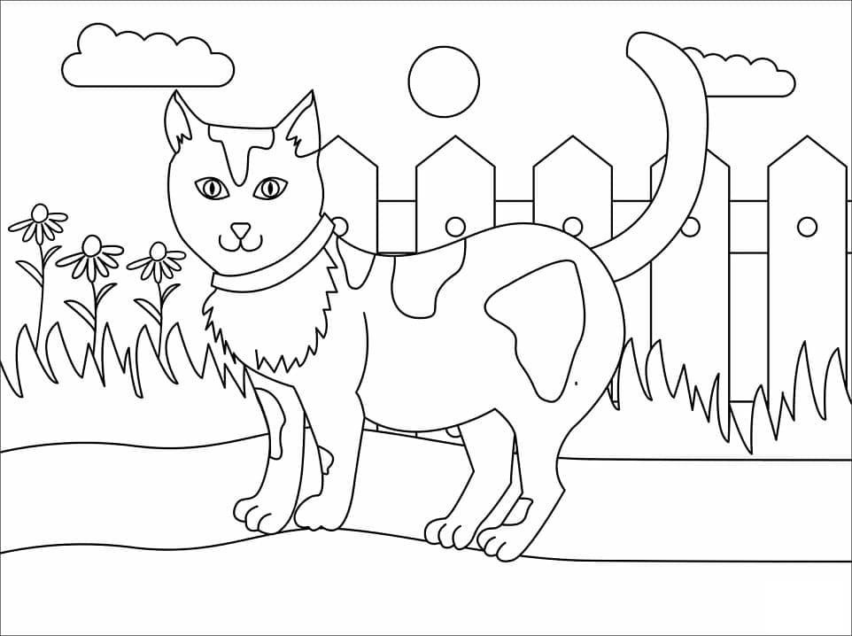 Desenho Gato e Cercá para Colorir