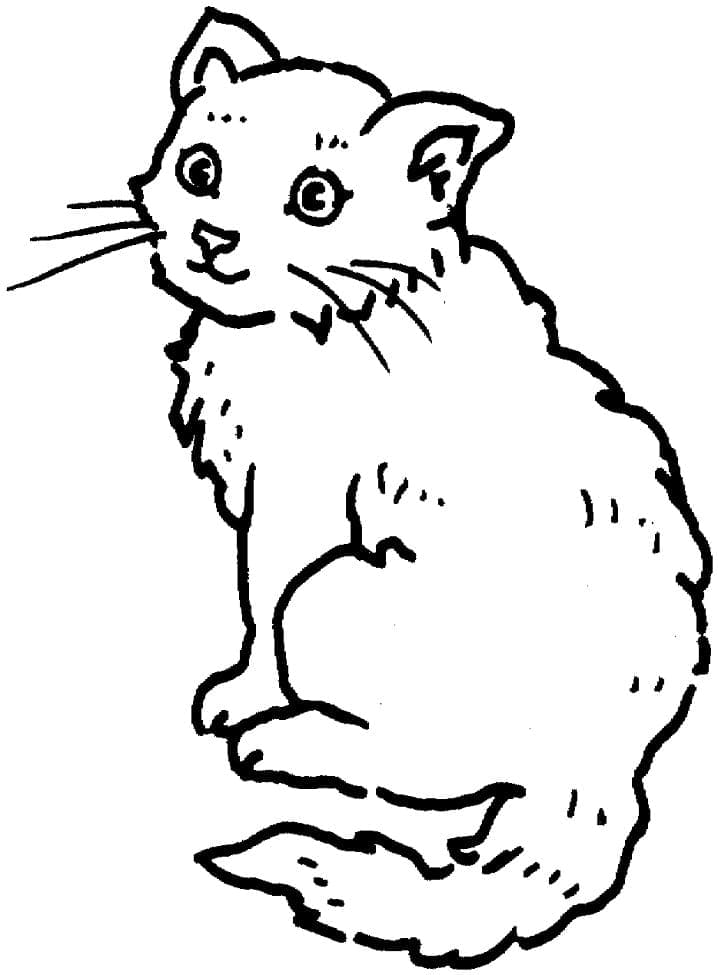 Desenho Gato Feliz para Colorir