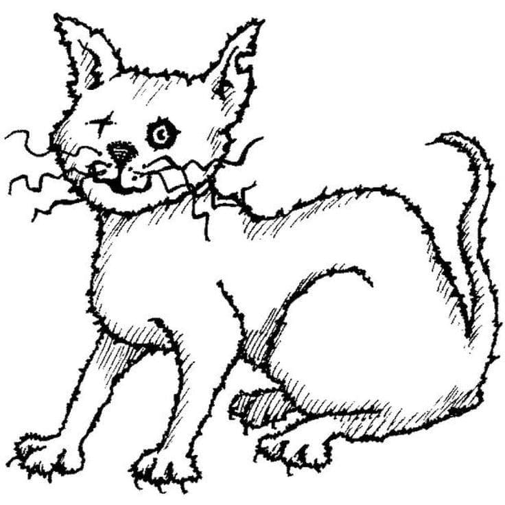 Desenho Gato Maluco para Colorir