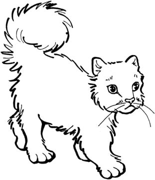 Desenho para Pintar de Gato Gratuitamente
