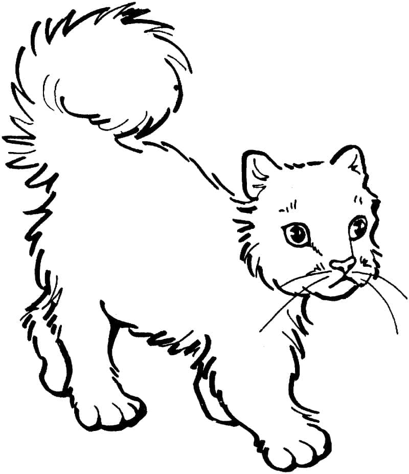 Desenho para Pintar de Gato Gratuitamente