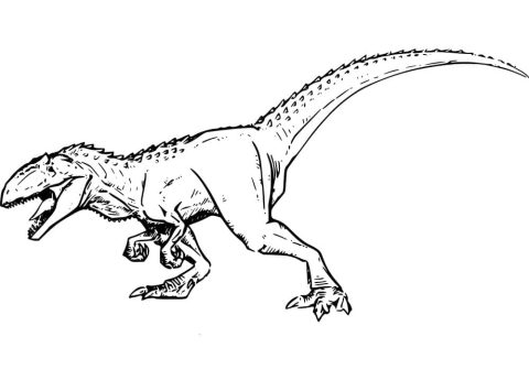Desenho de Giganotossauro Imprimível Download