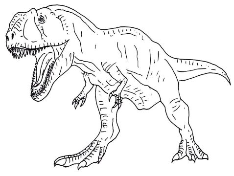 Desenho de Giganotossauro Infantil para Colorir