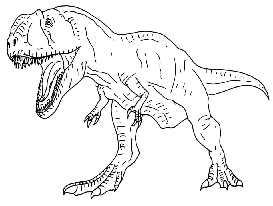 Desenho de Giganotossauro Infantil para Colorir