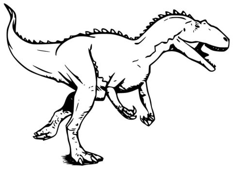 Desenho de Giganotossauro para Colorir Pdf