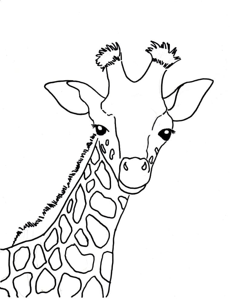 Desenho de Cabeça de Girafa para Colorir