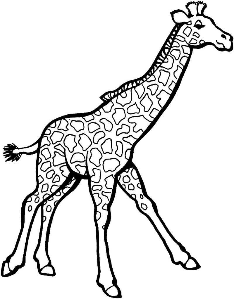 Desenho de Girafa Cartoon para Imprimir