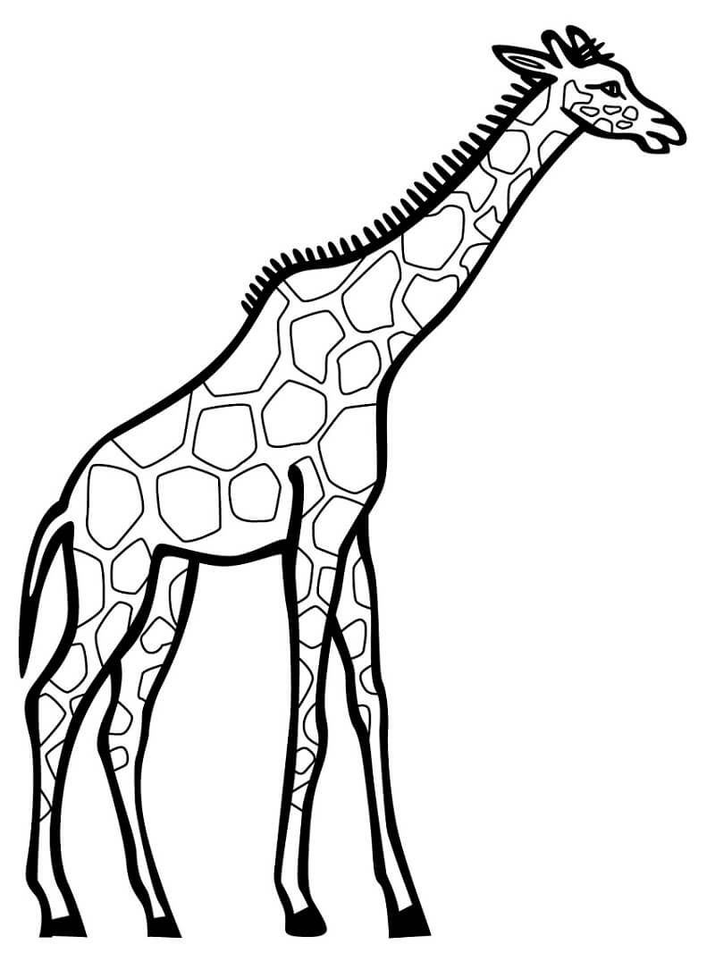 Desenho de Girafa Detalhada para Colorir