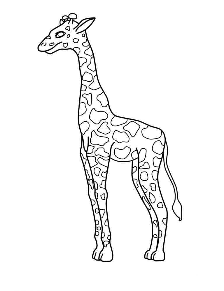 Desenho de Girafa Grátis para Colorir