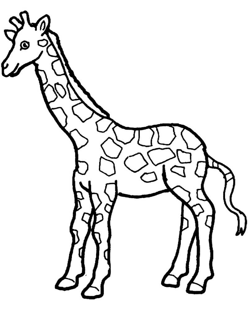 Desenho de Girafa Kawaii para Colorir Pdf