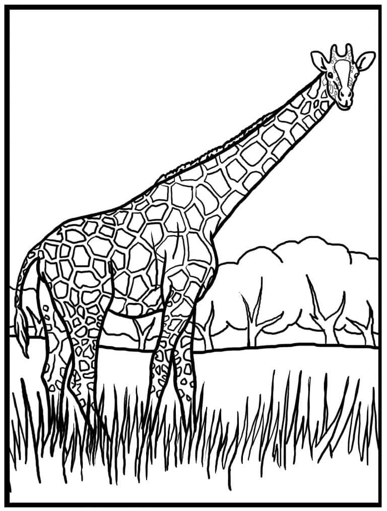 Desenho de Girafa na Grama para Colorir