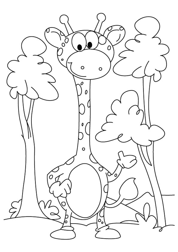 Desenho de Girafa para Colorir Pdf