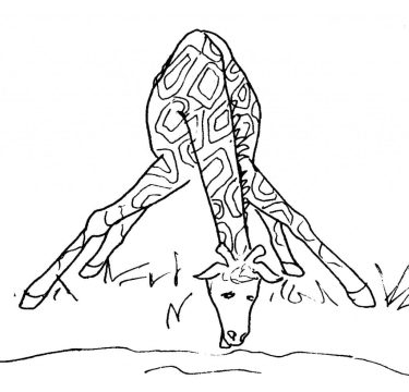 Desenho de Imagem de Girafa para Colorir