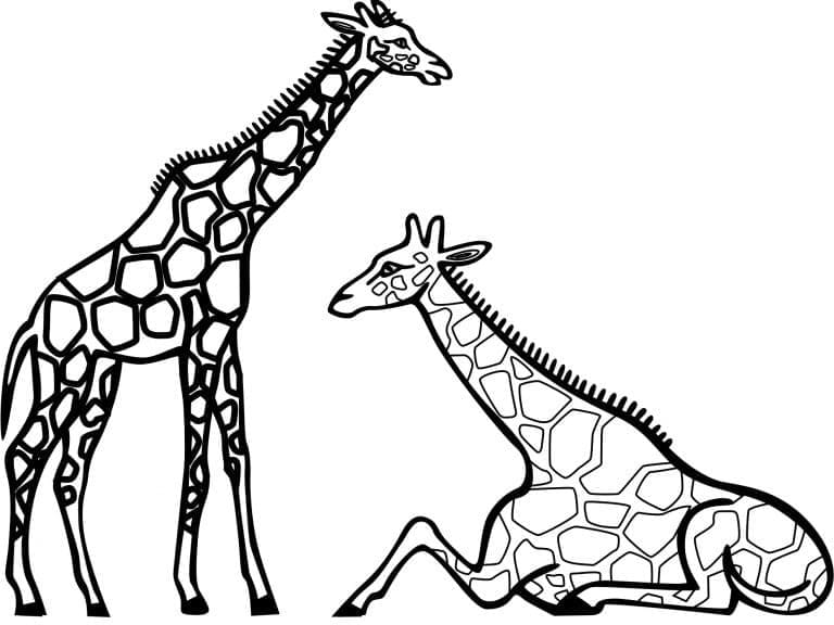 Desenho de Imagem de Girafas para Colorir