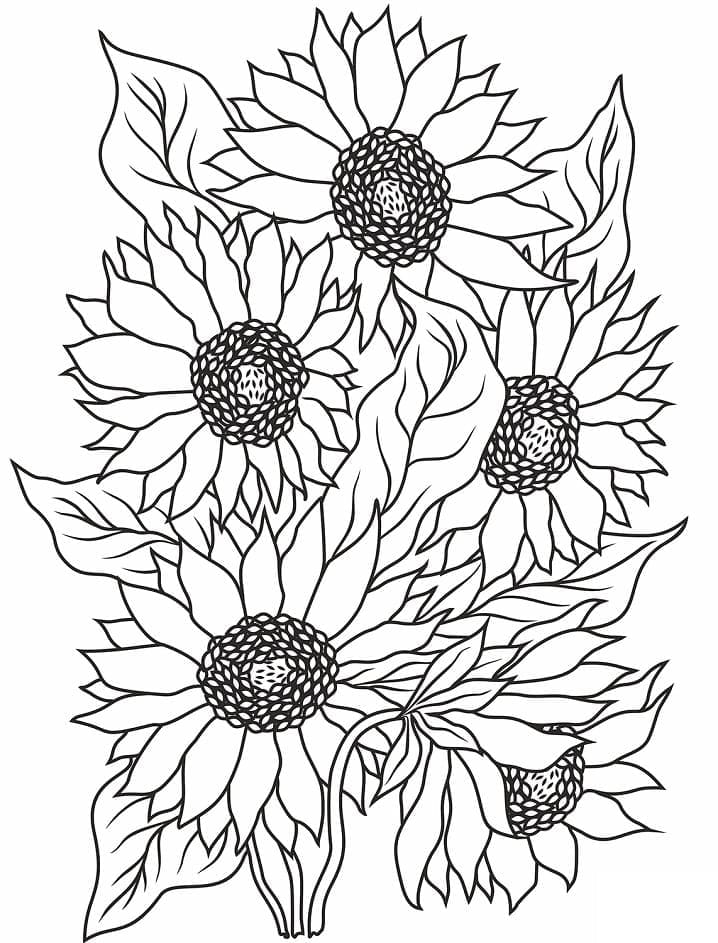 Desenho de Girassóis Incríveis para Colorir