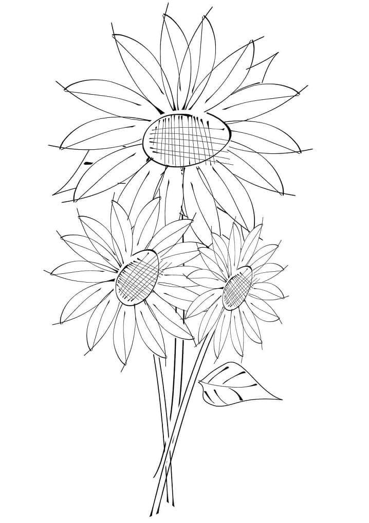 Desenho de Girassóis para Colorir