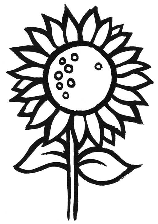 Desenho de Girassol Muito Lindo para Colorir