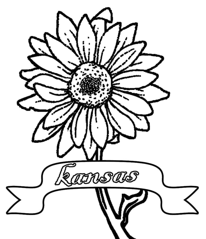 Desenho de Girassol para Crianças para Colorir