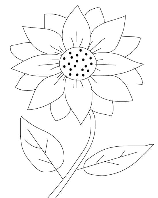 Desenho de Girassol Simples para Colorir
