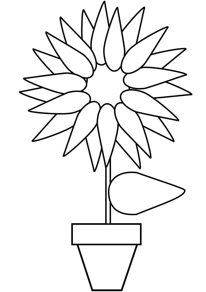 Desenho de um Girassol Fácil para Colorir