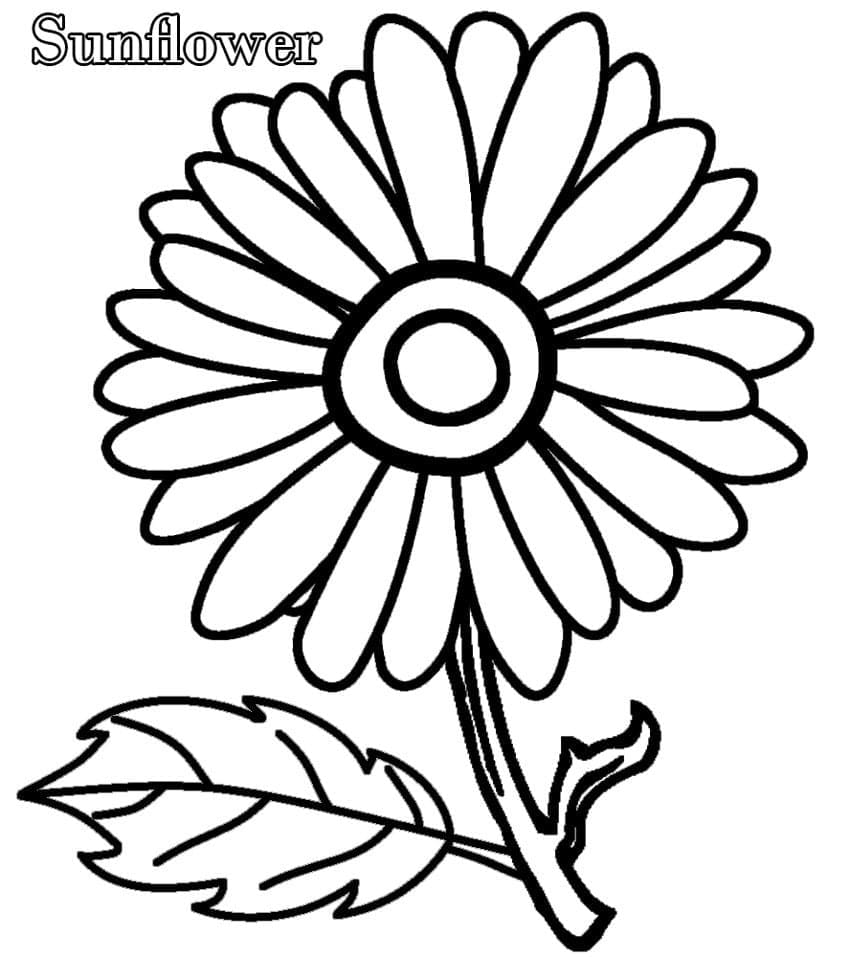 Desenho de um Lindo Girassol para Colorir