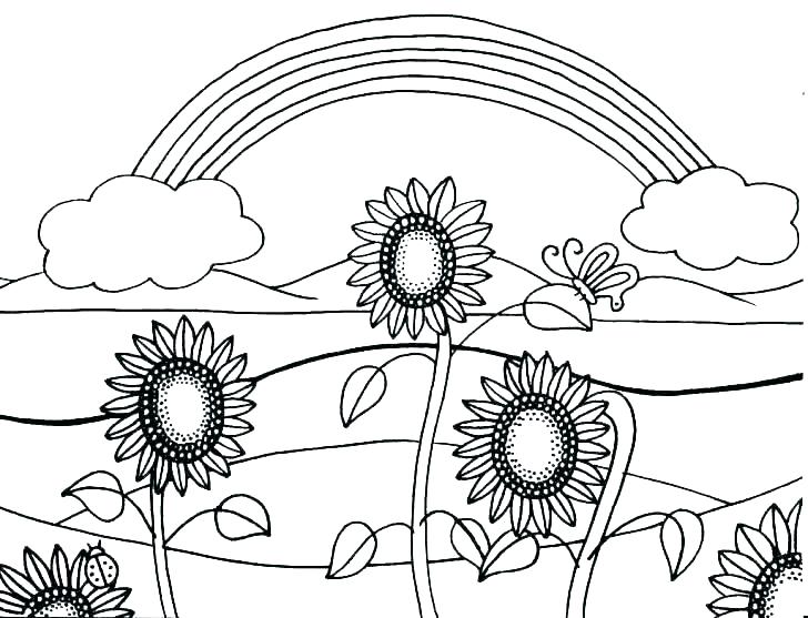 Desenho de Flor Girassol Realista para Imprimir
