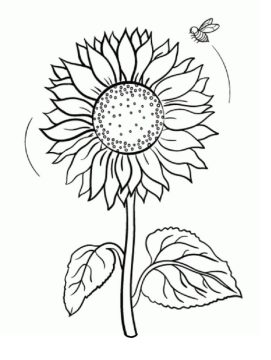 Desenho Girassol e Abelha para Colorir