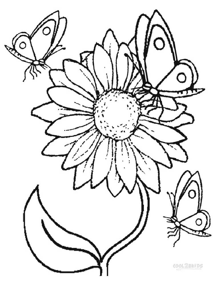 Desenho Girassol e Borboleta para Colorir