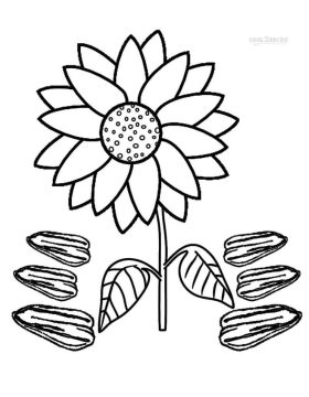 Desenho Girassol e Sementes para Colorir