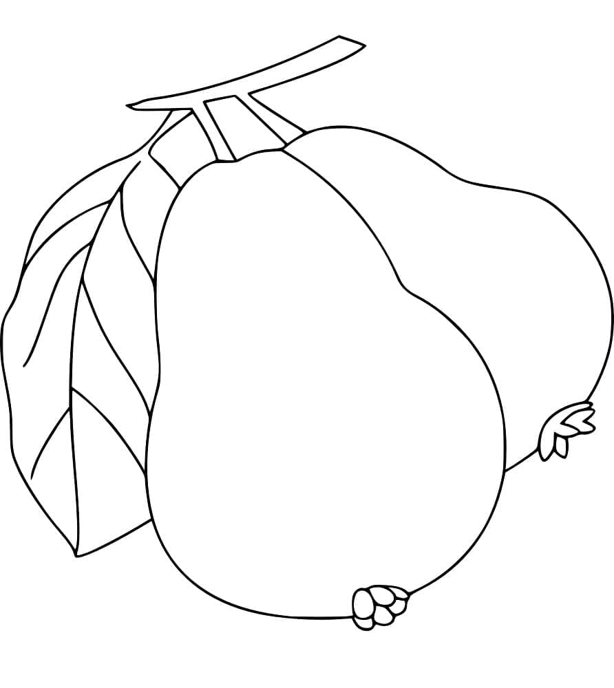 Desenho de Duas Goiabas para Colorir
