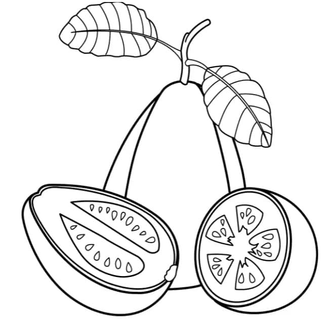 Desenho de Goiaba para Crianças para Colorir