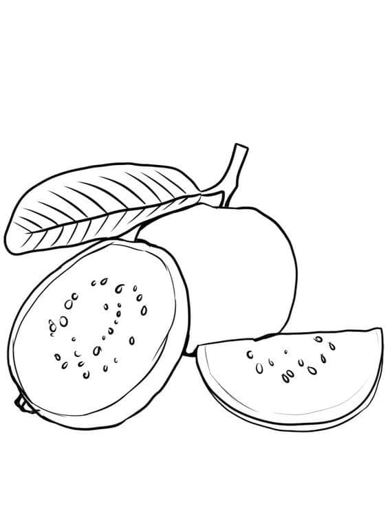 Desenho de Goiabas Grátis para Colorir